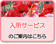 入所サービスのご案内