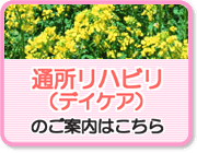 通所リハビリのご案内