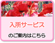入所サービスのご案内